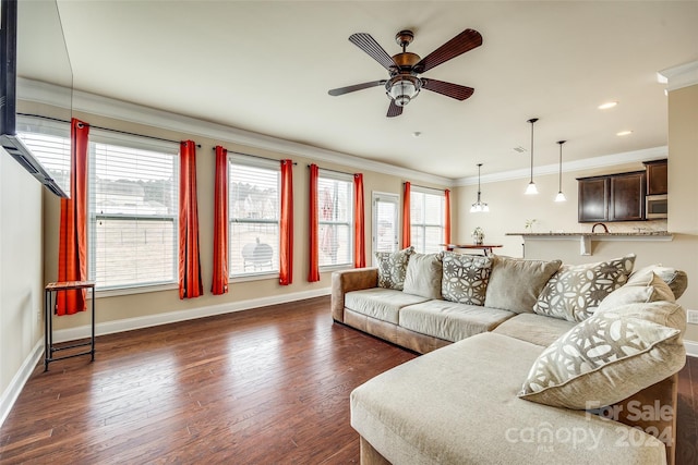 living room with ceiling fan, crown molding, and dark hardwood / wood-style floors