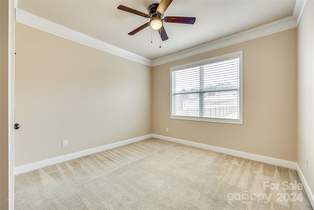 carpeted spare room with ceiling fan and ornamental molding