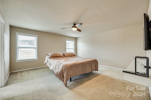 carpeted bedroom with multiple windows and ceiling fan