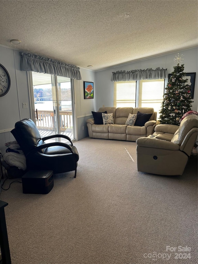 living room with carpet floors and a textured ceiling