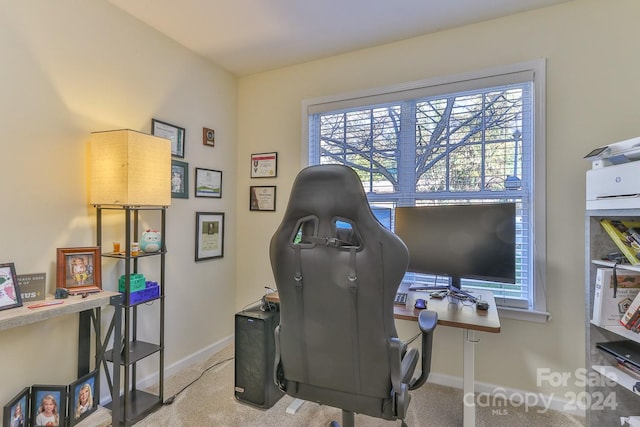 office featuring light colored carpet