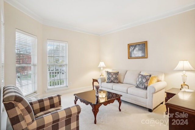 living room with light colored carpet and crown molding