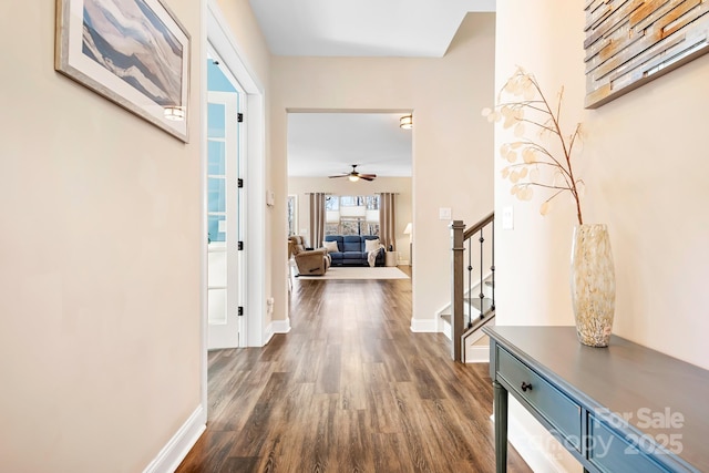 corridor featuring dark hardwood / wood-style floors