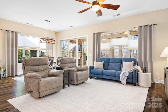 living room with hardwood / wood-style floors, a healthy amount of sunlight, and ceiling fan with notable chandelier