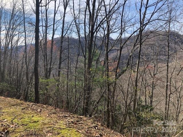 00 Seasons Dr, Clyde NC, 28721 land for sale