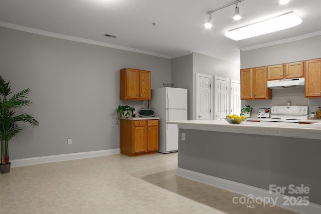 kitchen featuring stove, ornamental molding, and white refrigerator