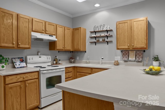 kitchen featuring crown molding, sink, kitchen peninsula, and white electric stove