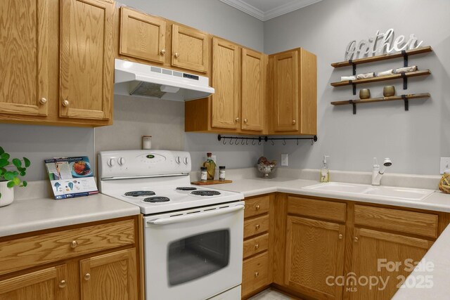 kitchen featuring sink, ornamental molding, and white electric range