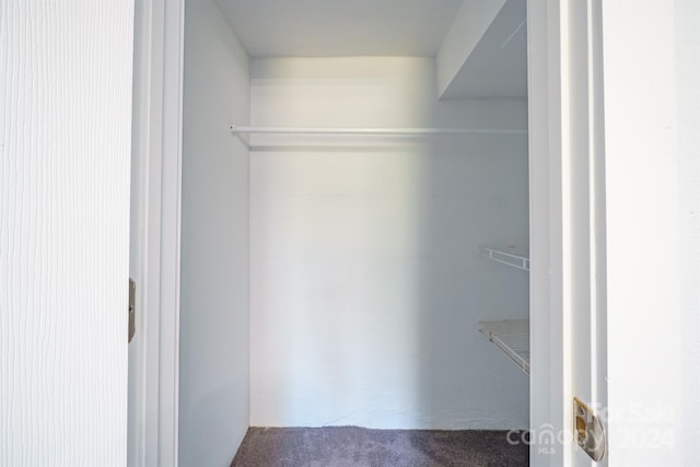 spacious closet featuring carpet flooring