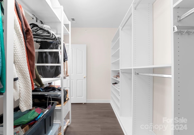 walk in closet with dark hardwood / wood-style flooring