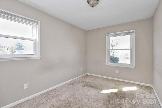 empty room featuring light carpet