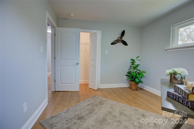 bedroom featuring a closet, light hardwood / wood-style flooring, and a spacious closet