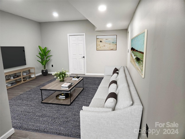 living room with dark wood-type flooring