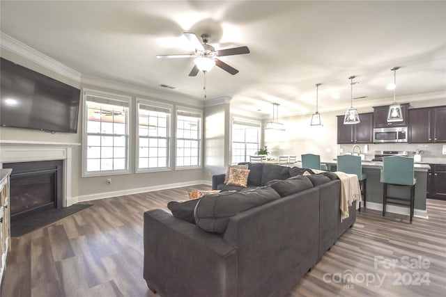 living room with crown molding, sink, ceiling fan, and dark wood-type flooring