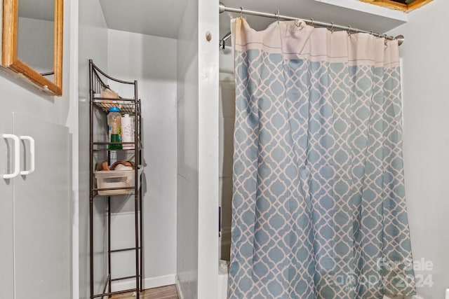 bathroom featuring wood-type flooring