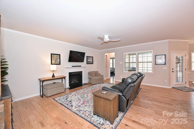 living room featuring ceiling fan, ornamental molding, and light wood-type flooring