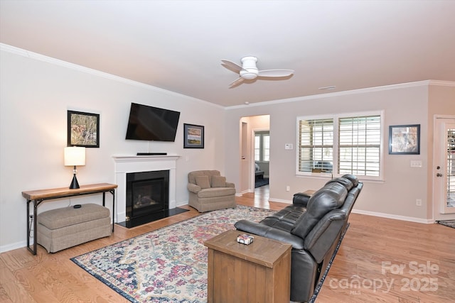 living room with ornamental molding, light hardwood / wood-style floors, and ceiling fan