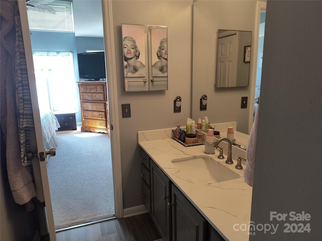 bathroom featuring plenty of natural light, vanity, and hardwood / wood-style flooring