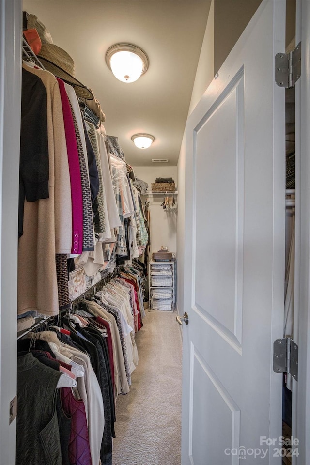 spacious closet with light colored carpet