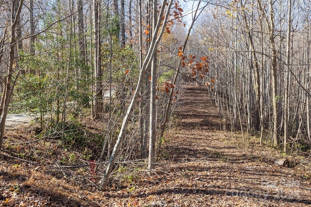 view of local wilderness