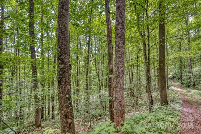 TBD Alvins Fox Trail, Mars Hill NC, 28754 land for sale