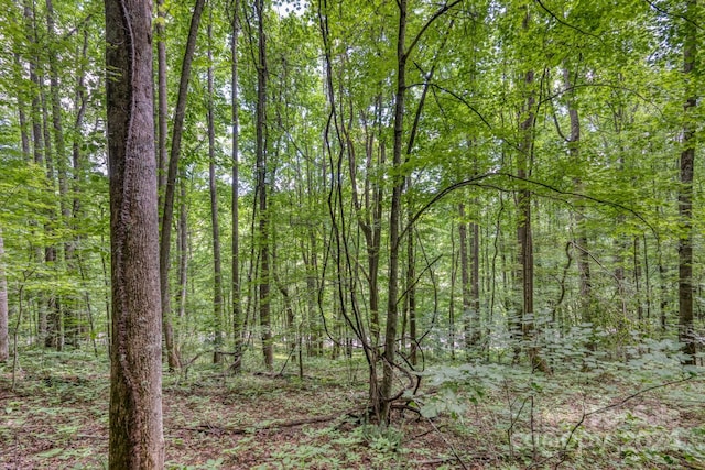 Listing photo 2 for TBD Alvins Fox Trail, Mars Hill NC 28754