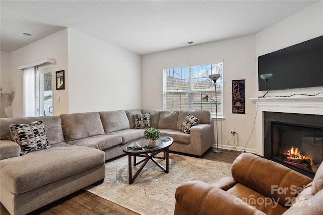 living room featuring wood-type flooring