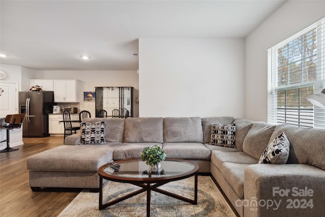 living room with hardwood / wood-style flooring