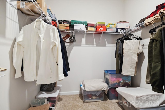 spacious closet featuring carpet flooring