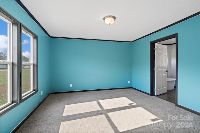 spare room featuring dark carpet and ornamental molding