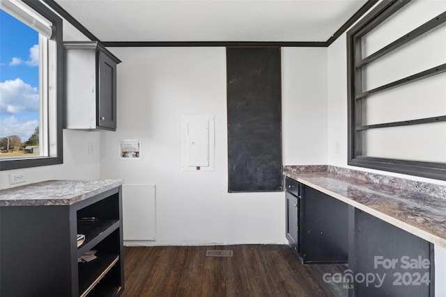 kitchen with electric panel, dark hardwood / wood-style floors, and ornamental molding