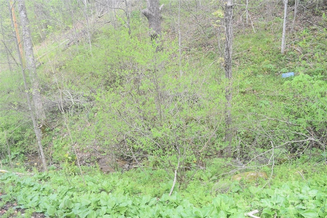 278 Kelses Valley Dr, Mars Hill, NC 28754 - view of nature