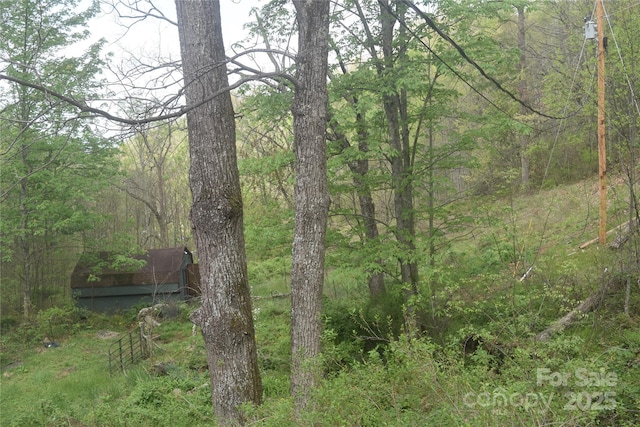 278 Kelses Valley Dr, Mars Hill, NC 28754 - view of landscape featuring a wooded view