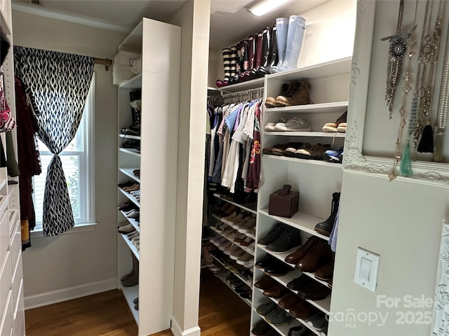 walk in closet with wood finished floors