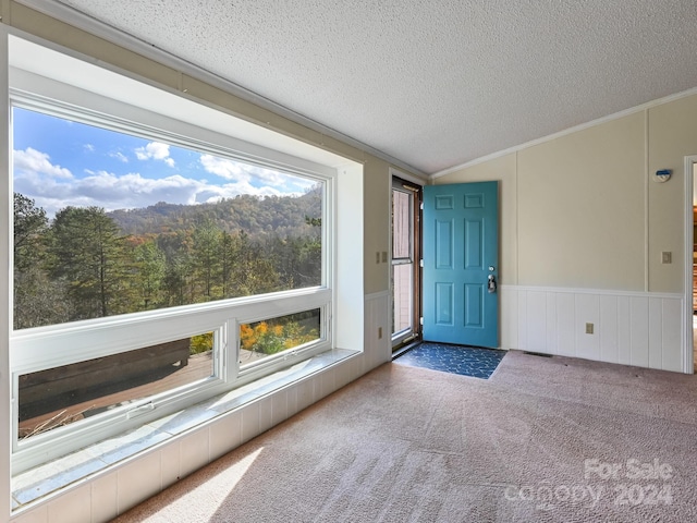 unfurnished sunroom with a healthy amount of sunlight and vaulted ceiling