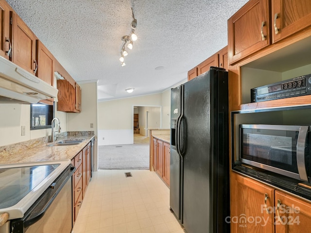 kitchen featuring light carpet, rail lighting, sink, a textured ceiling, and stainless steel appliances