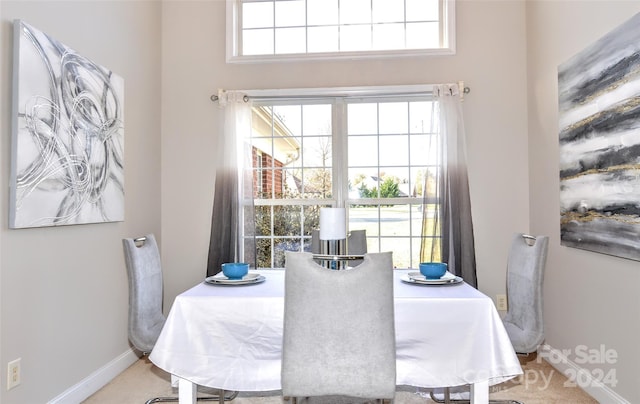 view of carpeted dining room