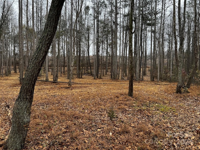 view of local wilderness