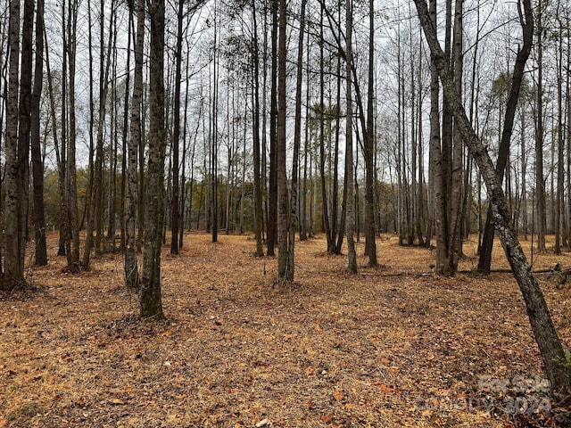 view of local wilderness