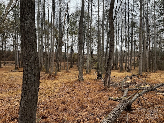 view of local wilderness