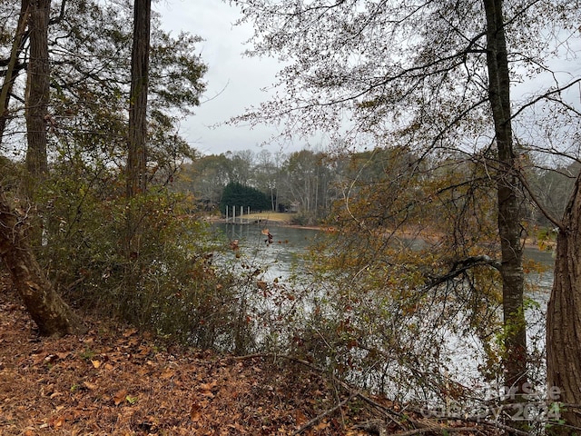 view of water feature