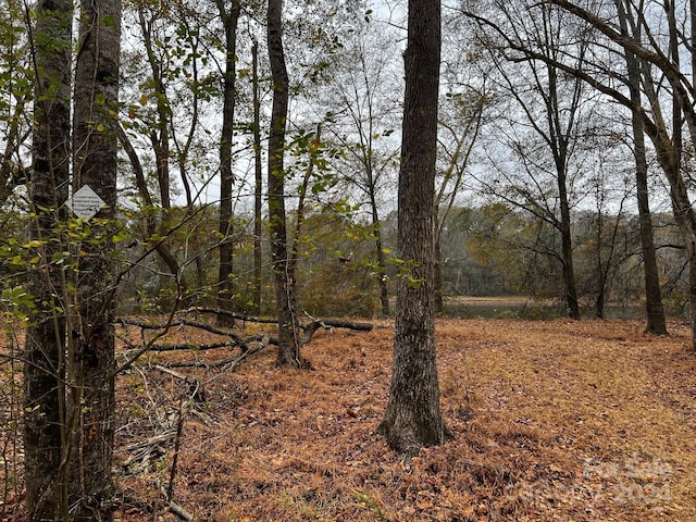 155A Lookout Dam Rd, Statesville, NC 28625 - view of undeveloped land
