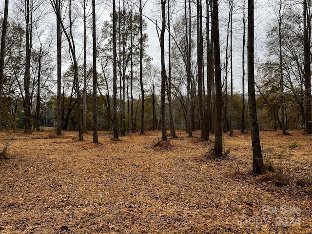 view of local wilderness