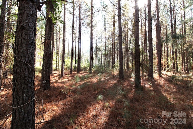 Listing photo 2 for 7/-ACLOT3 Hartness Rd, Clover SC 29710