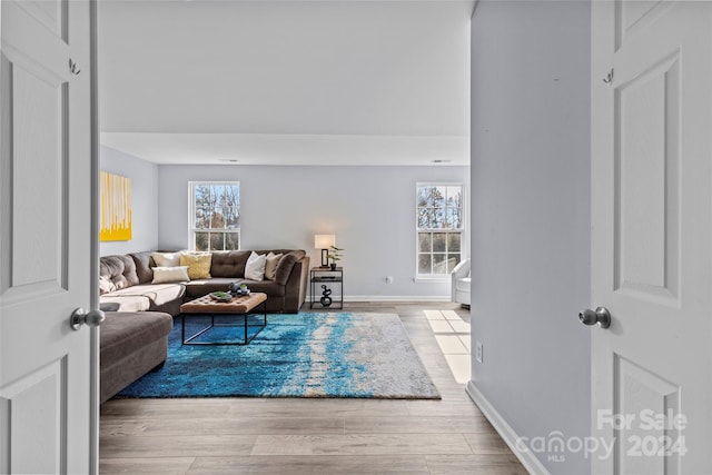 living room featuring light hardwood / wood-style flooring