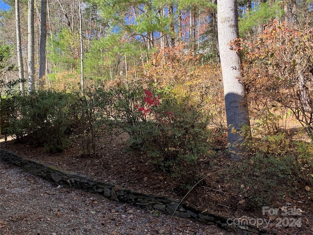 view of local wilderness