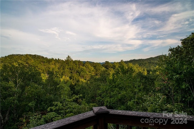 view of mountain feature