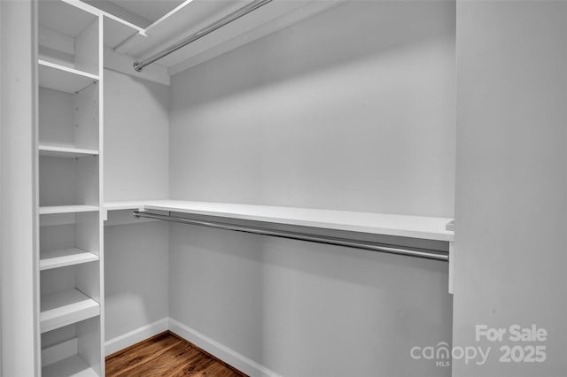 spacious closet with dark wood-type flooring