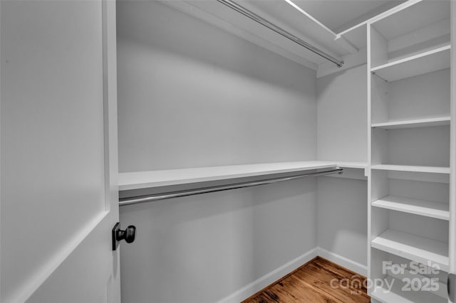 walk in closet featuring wood finished floors