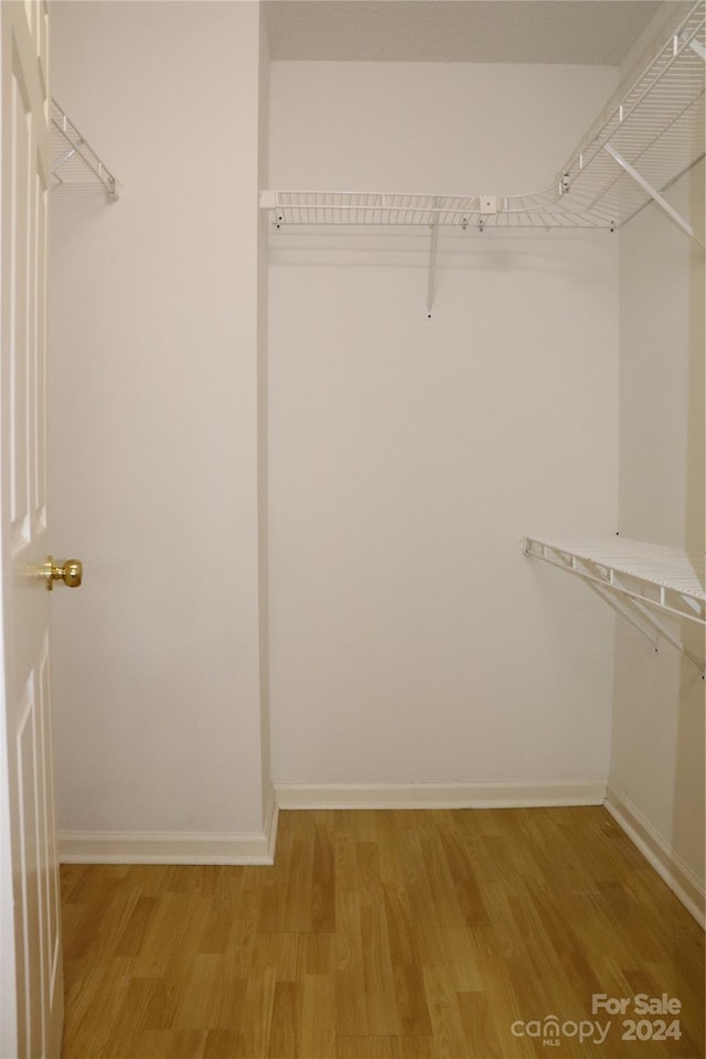 walk in closet with light wood-type flooring